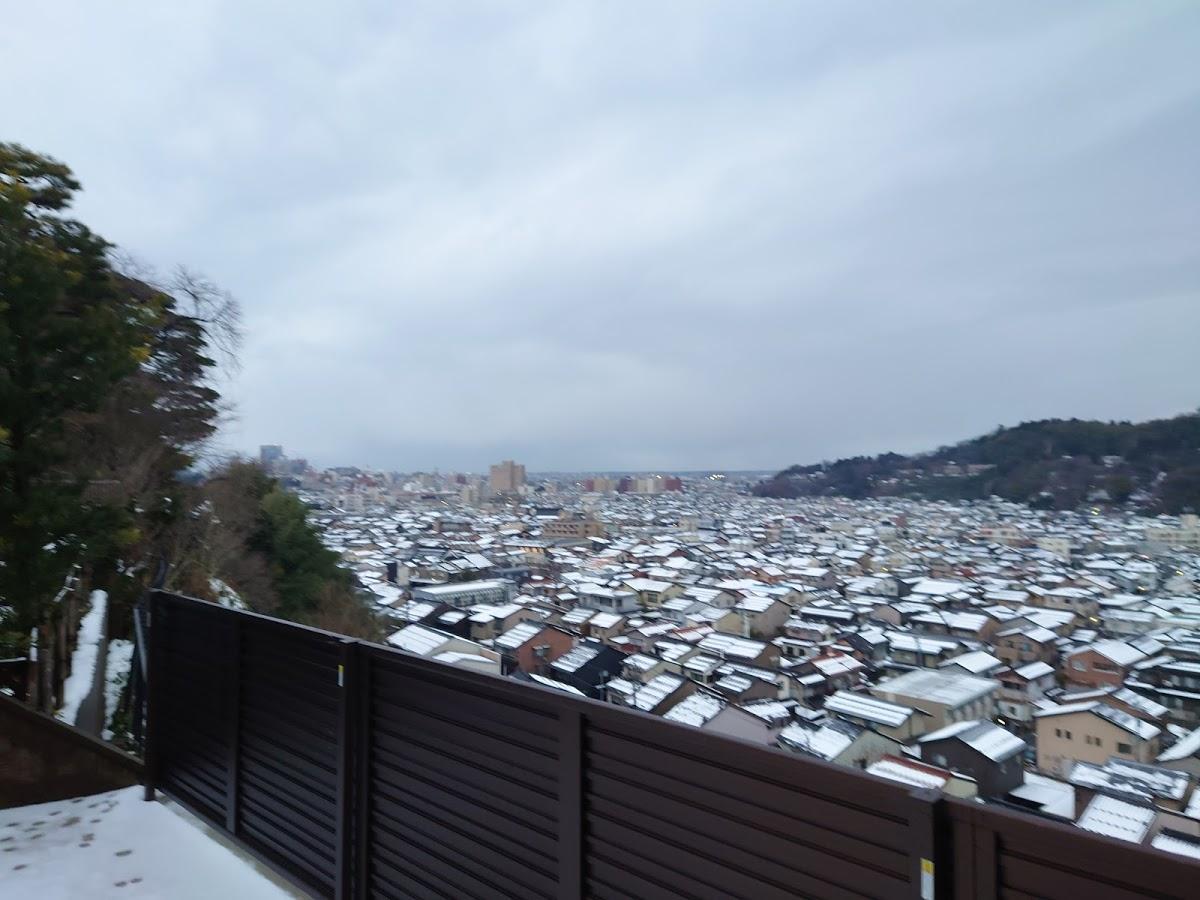 Google の写真