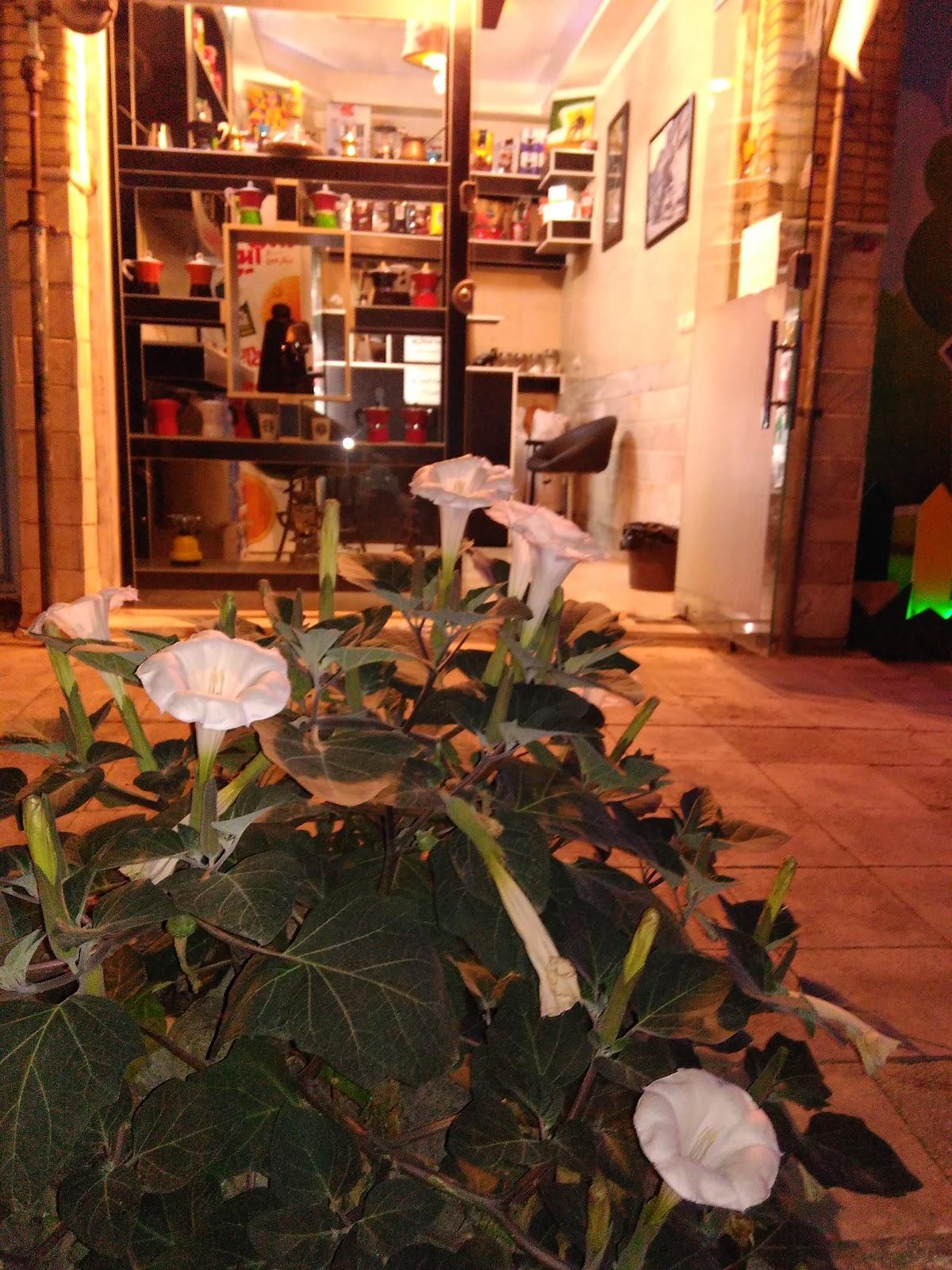 Photo from Google
