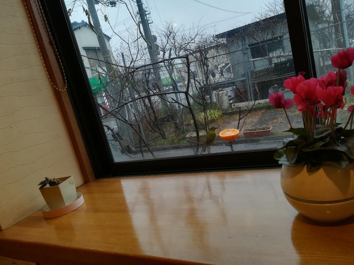 Google の写真