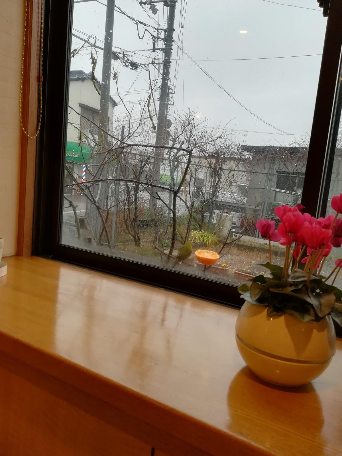 Google の写真