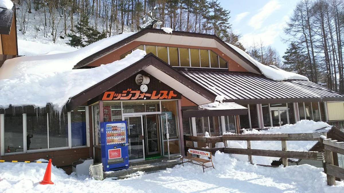 Google の写真
