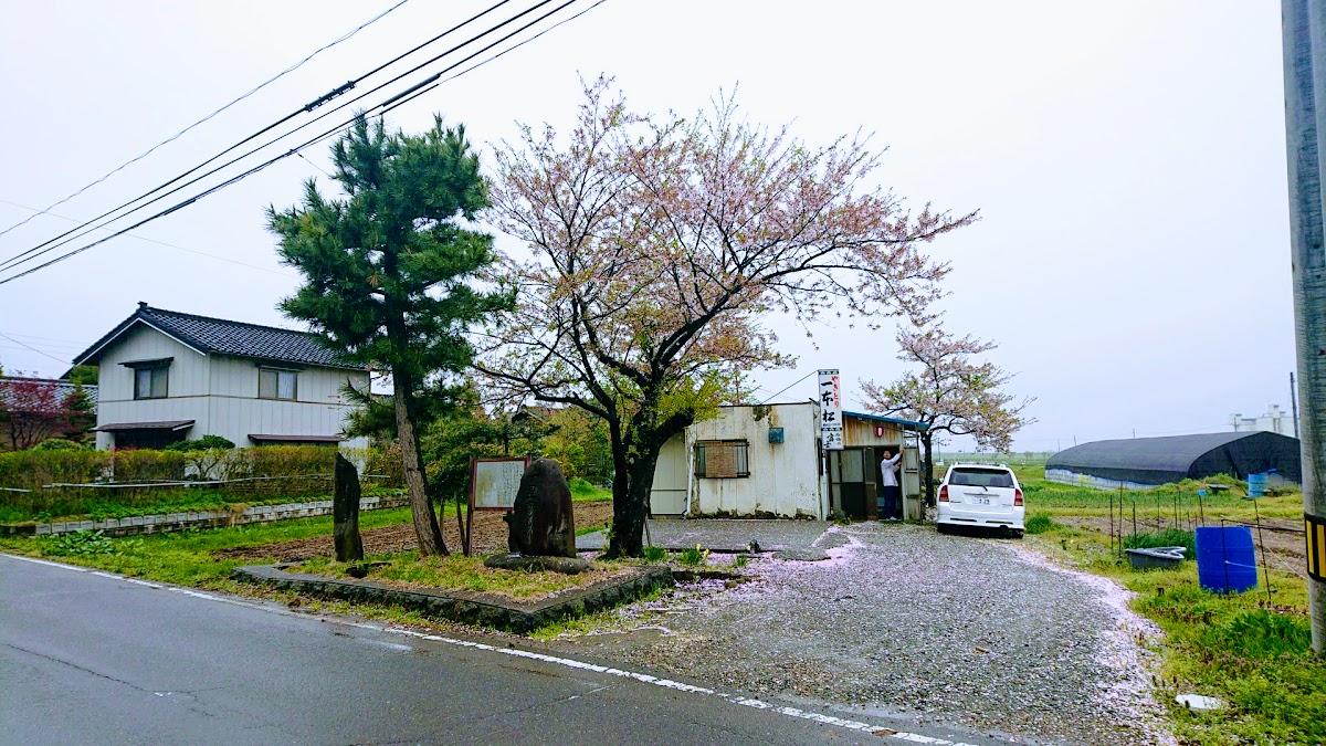 Google の写真