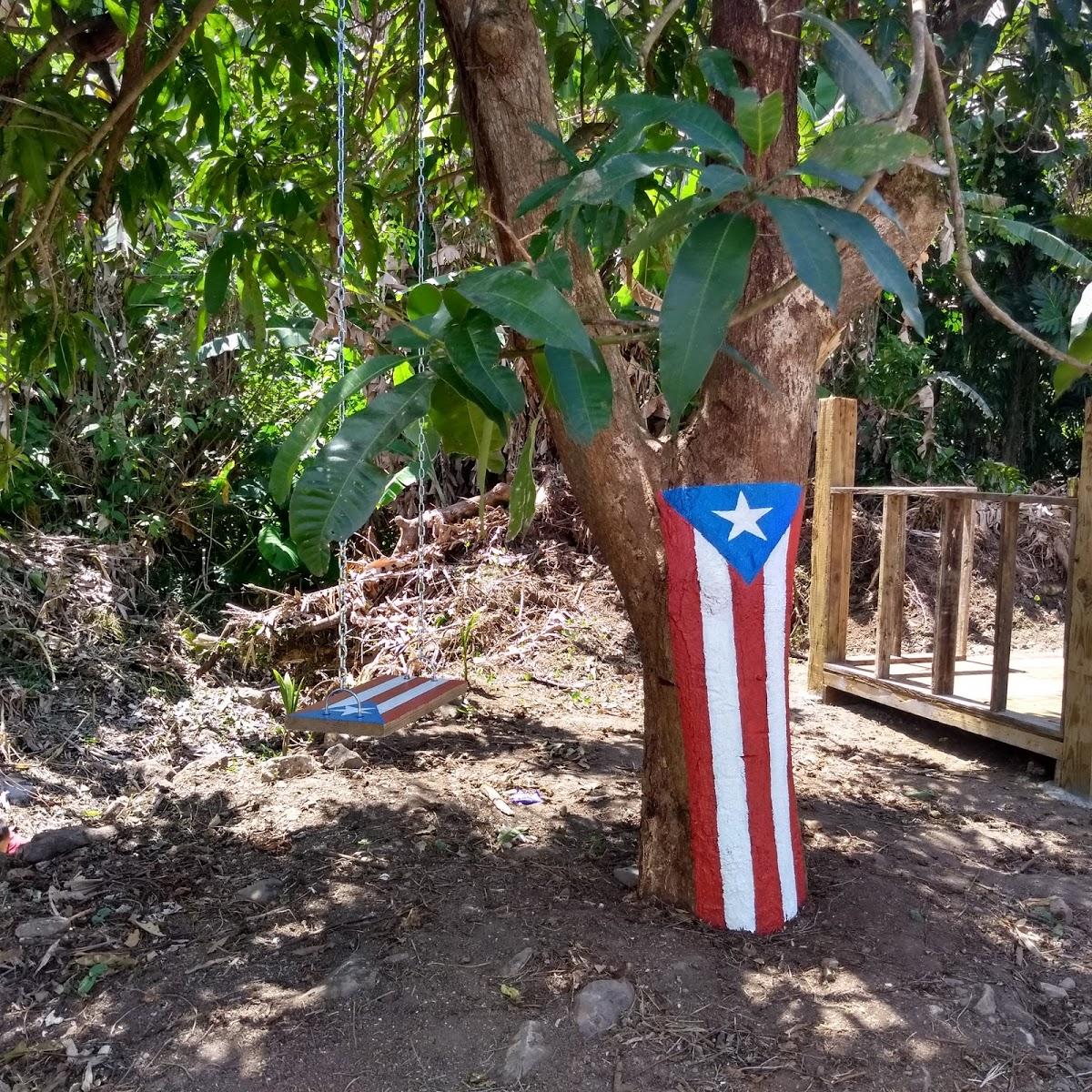 Photo from Google