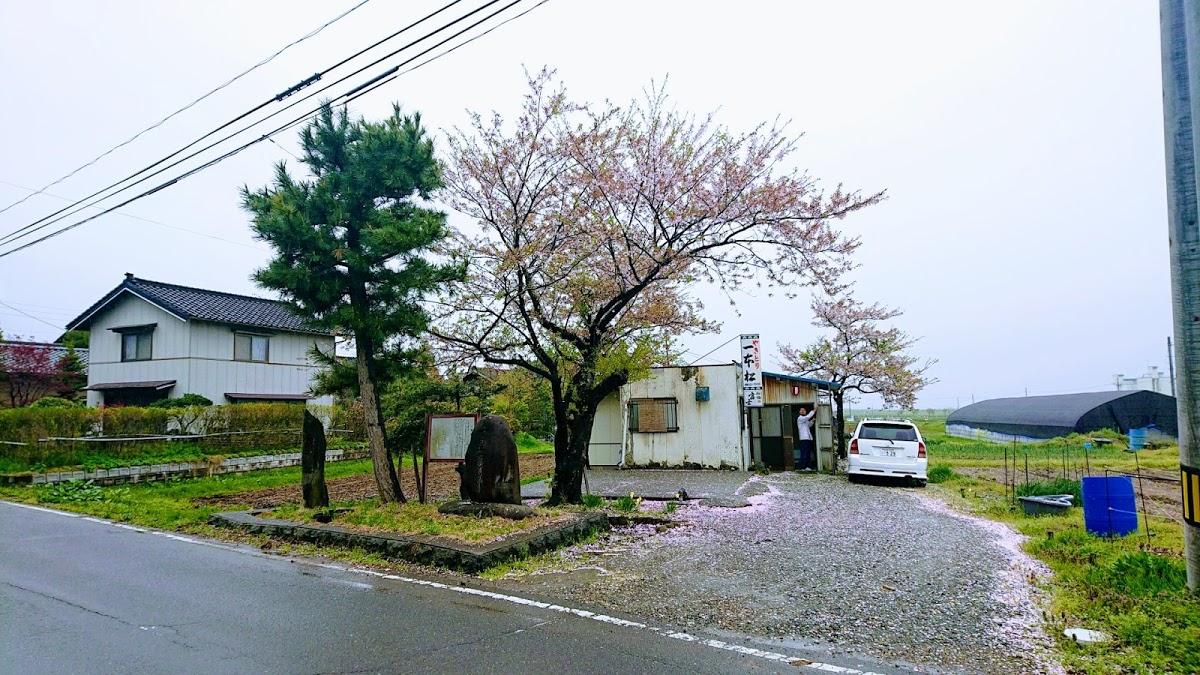 Google の写真