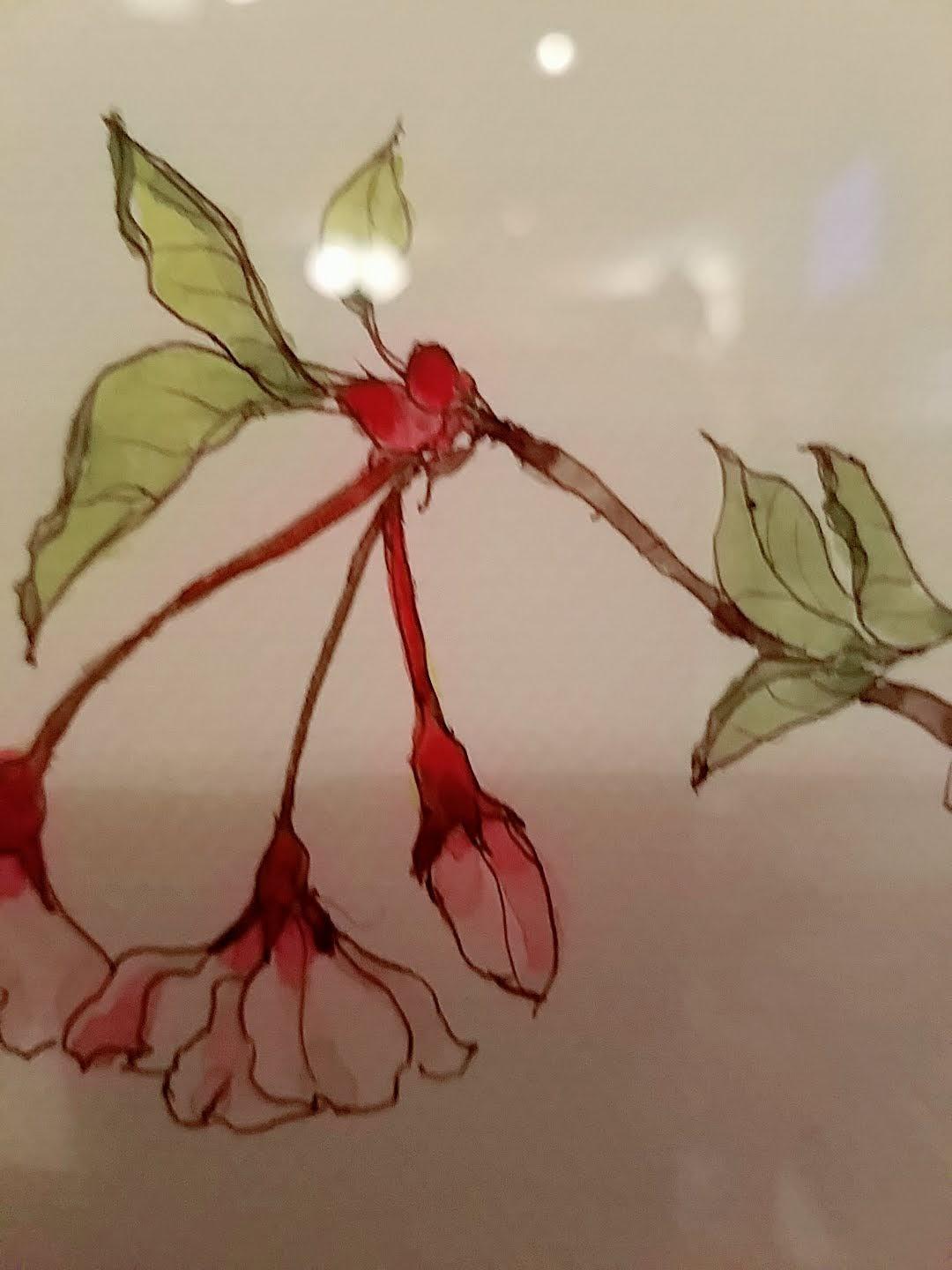 Google の写真