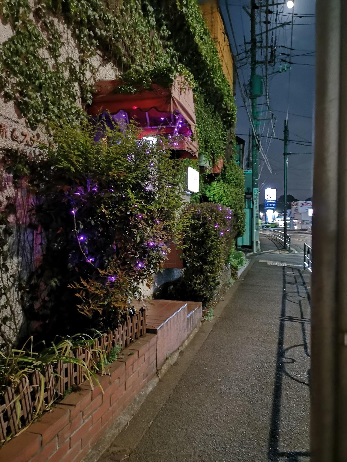 Google の写真