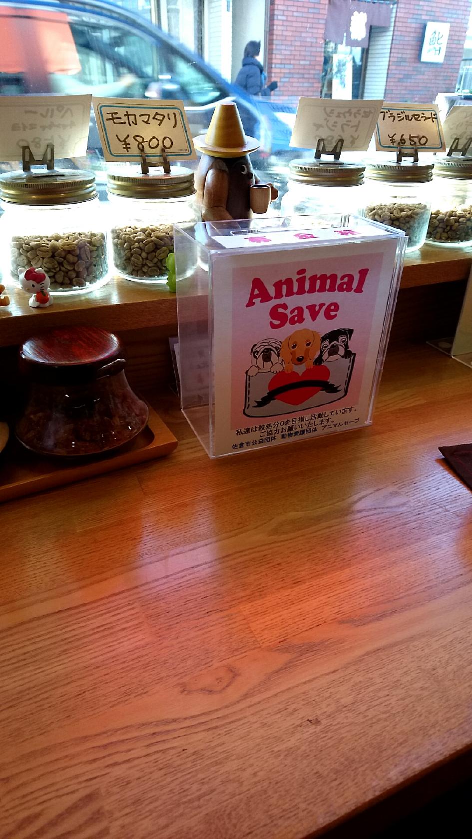Google の写真