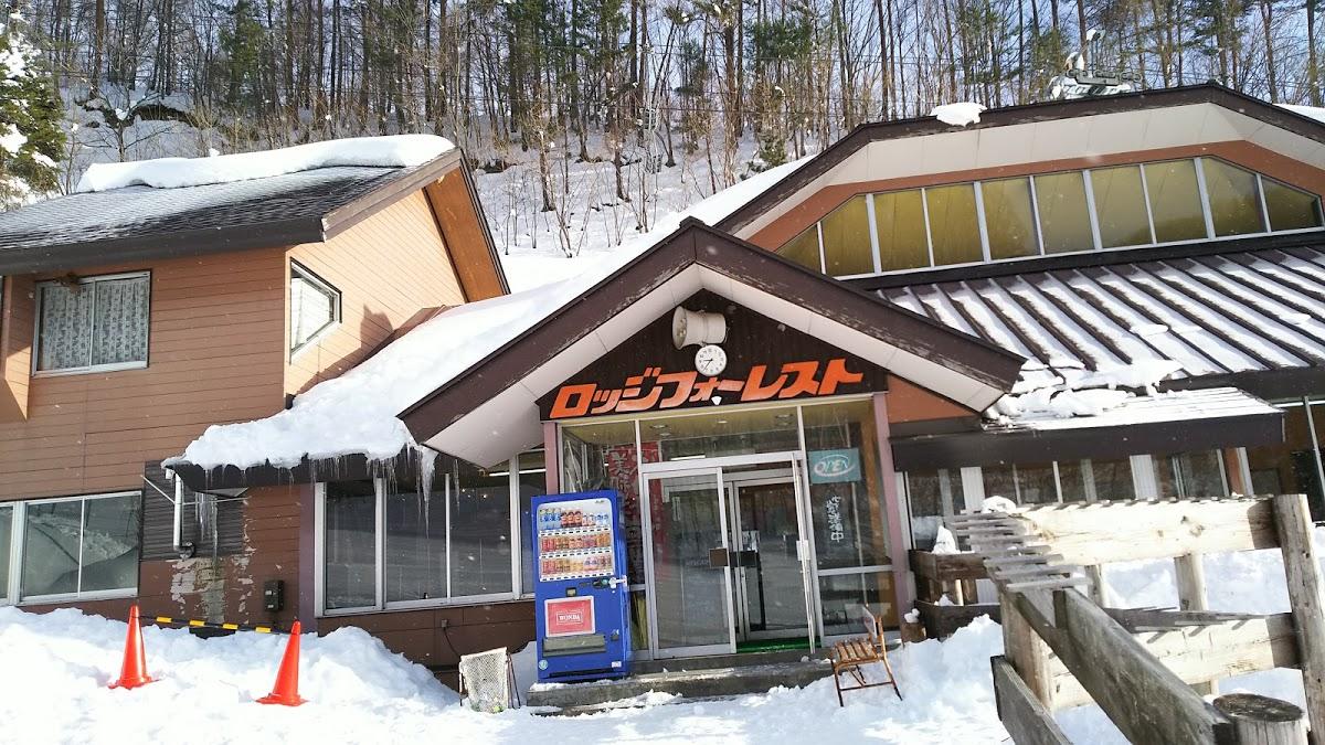 Google の写真