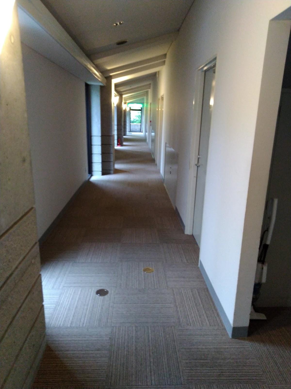 Google の写真