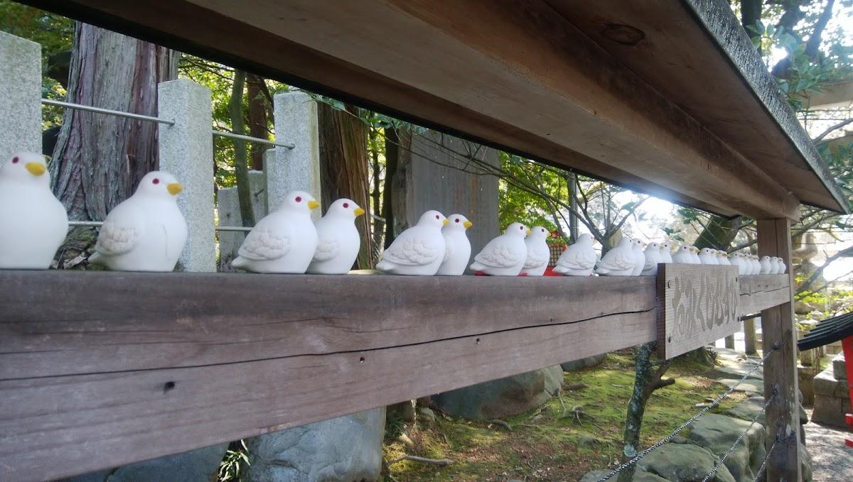 Google の写真