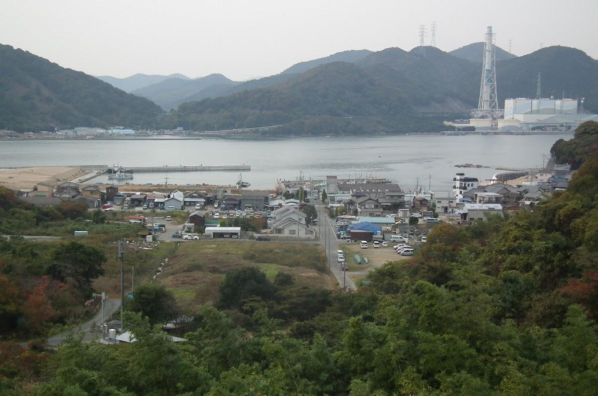 Google の写真