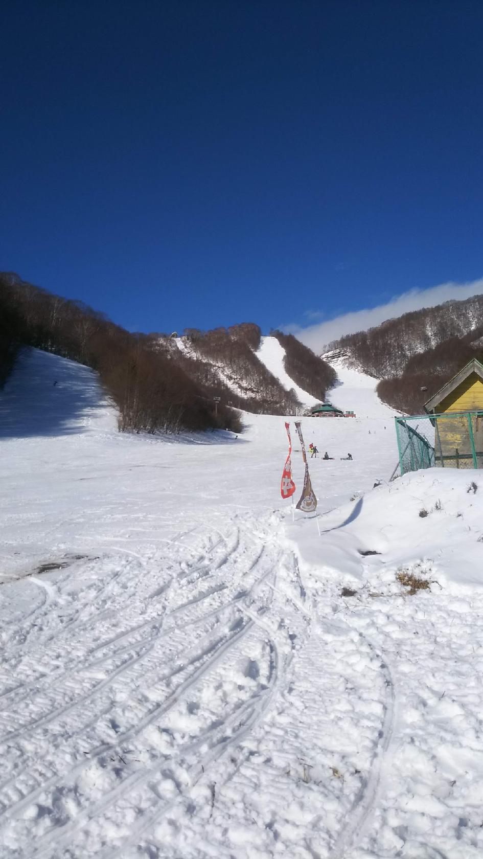 Google の写真