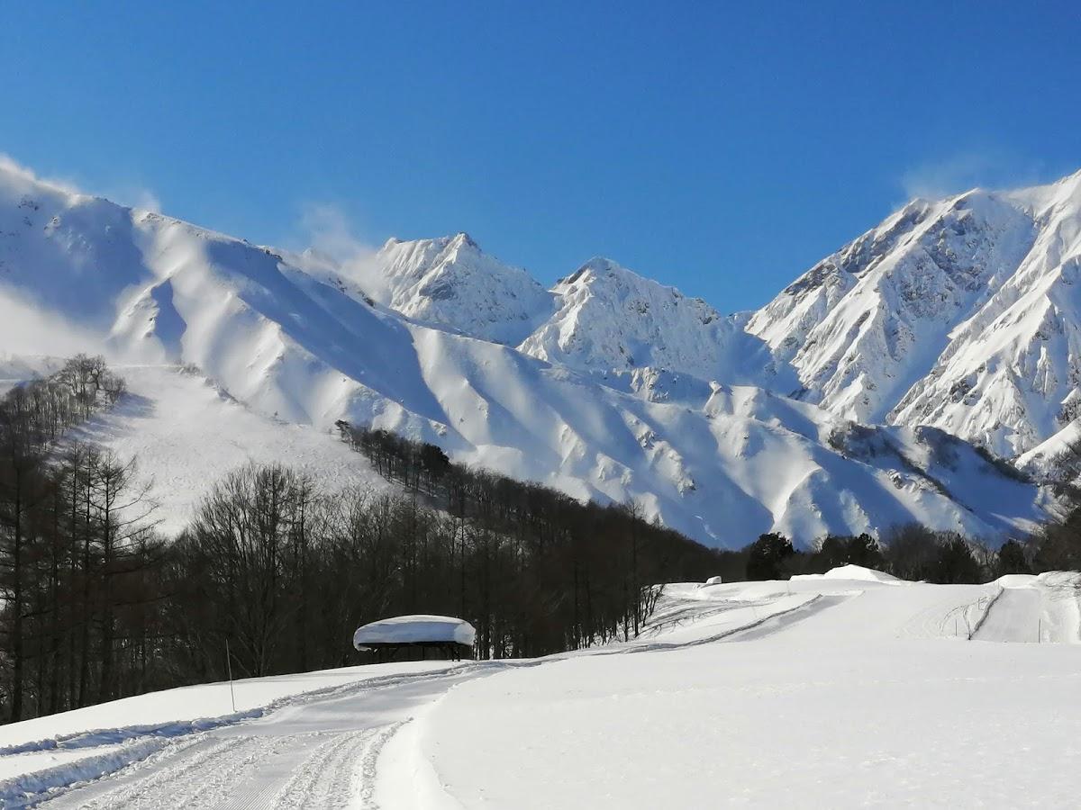 Google の写真