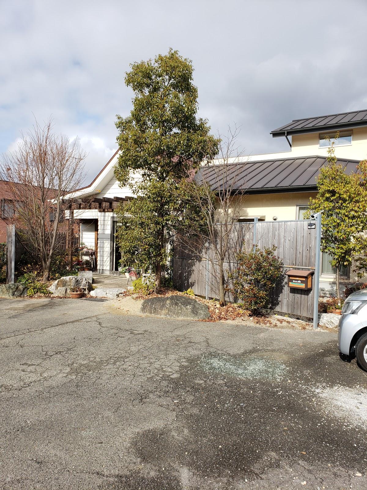Google の写真