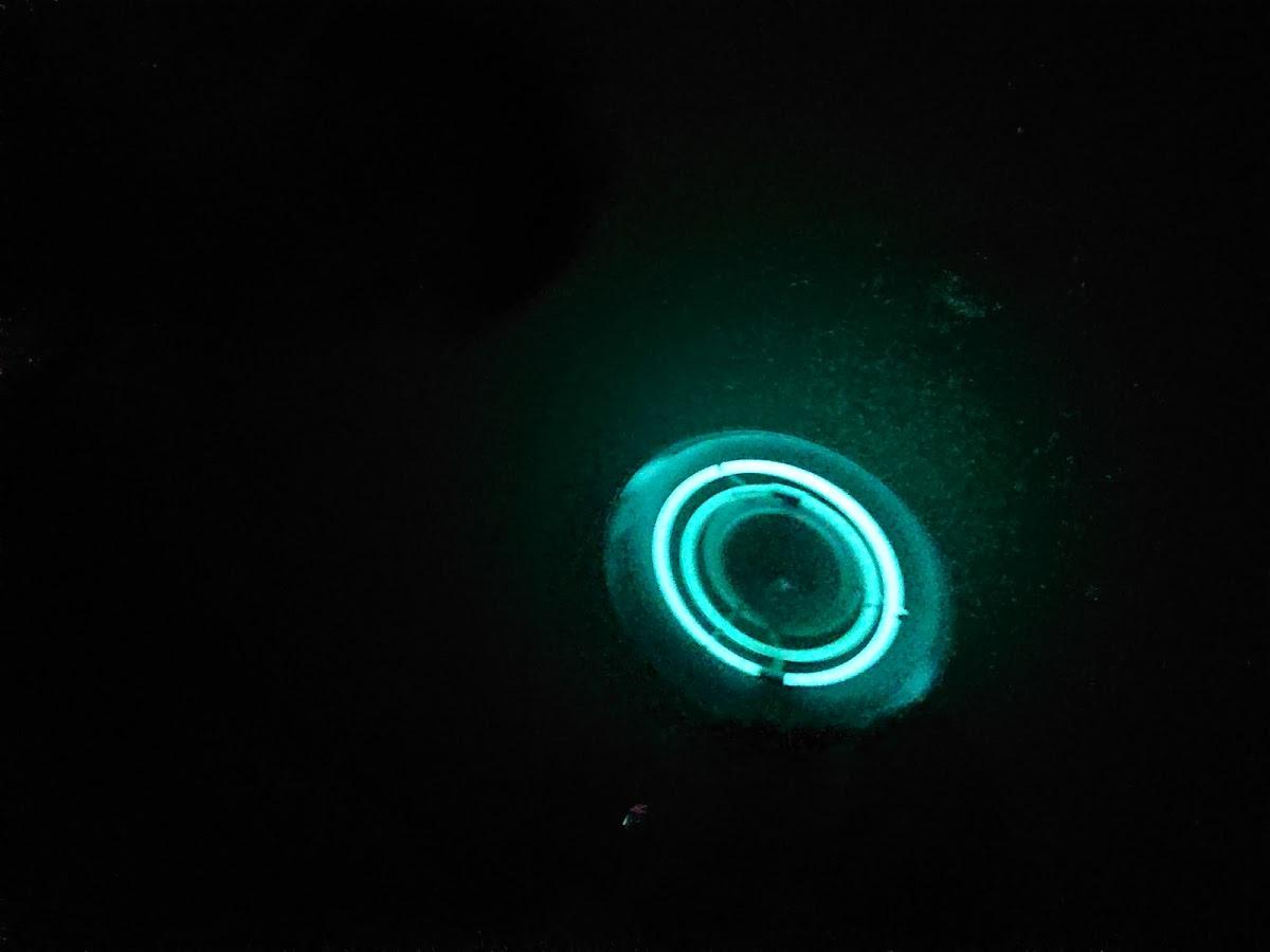 Google の写真