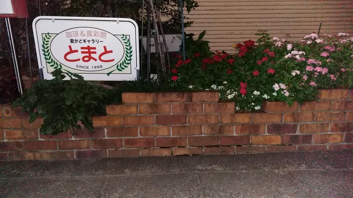 Google の写真