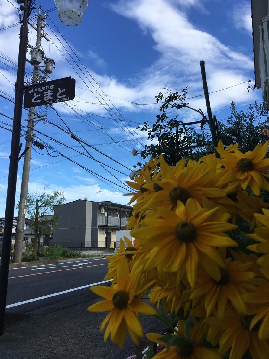 Google の写真
