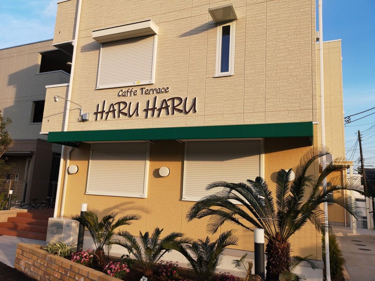 Google の写真
