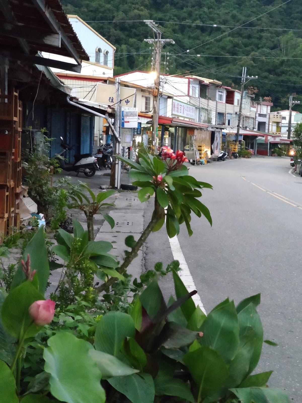 Google の写真