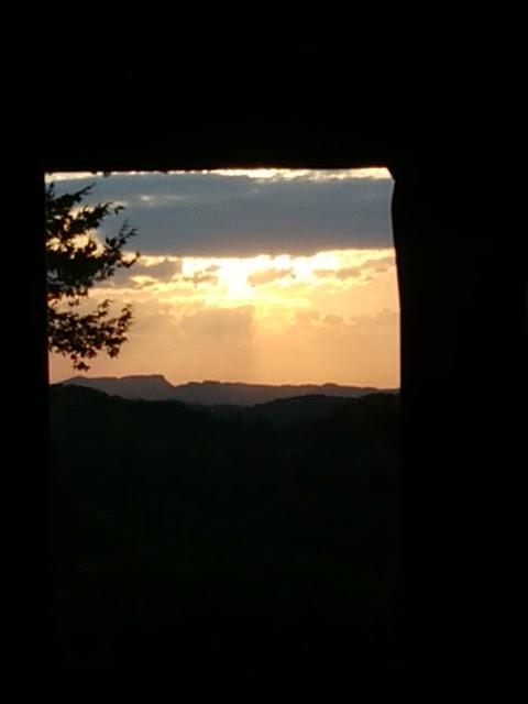 Google の写真