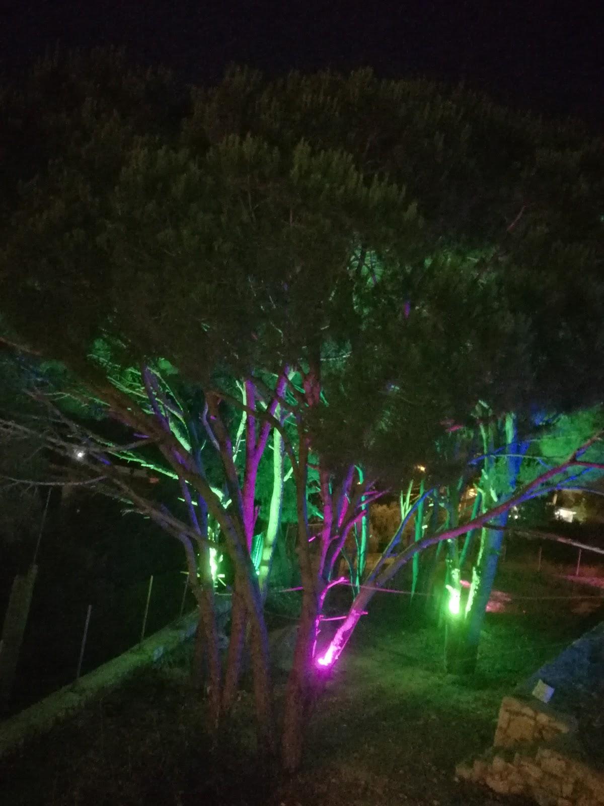Photo from Google