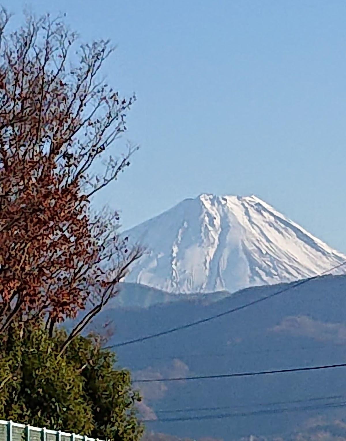Google の写真