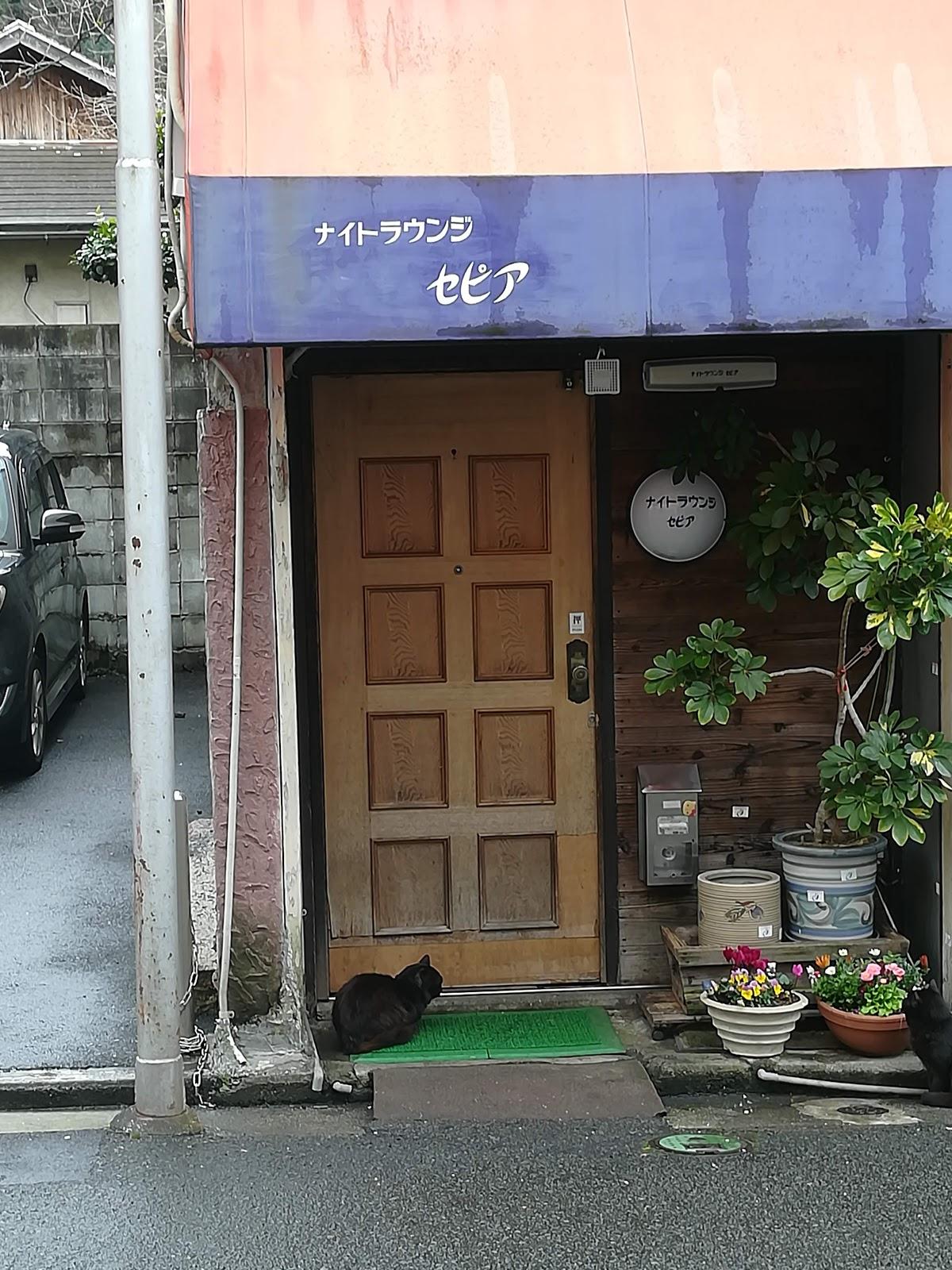 Google の写真