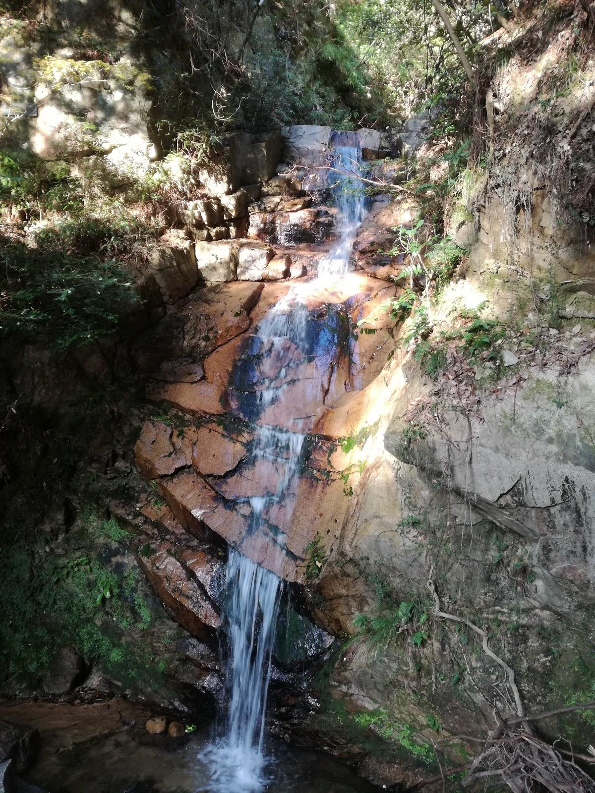 Photo from Google