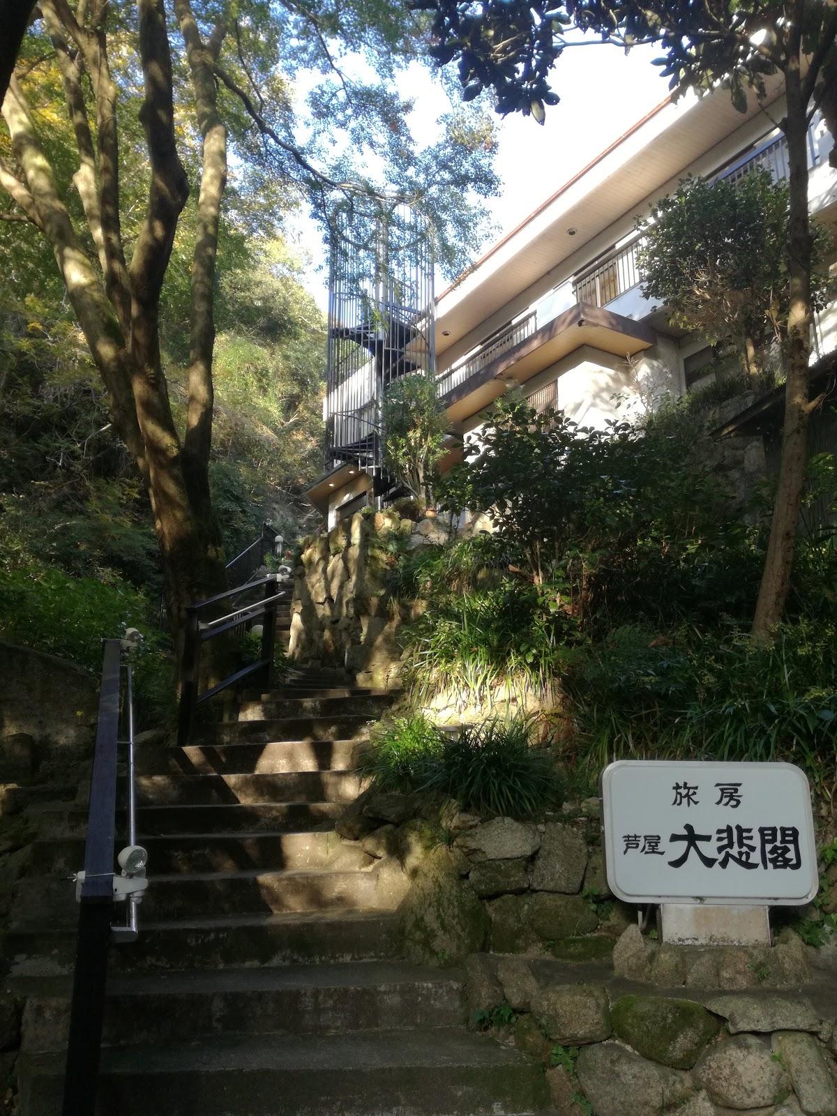 Photo from Google