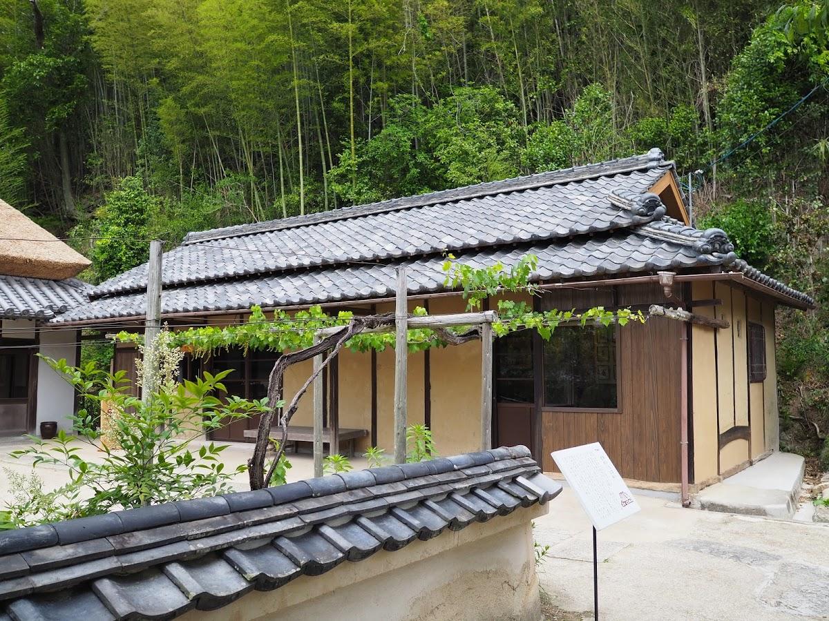 Google の写真