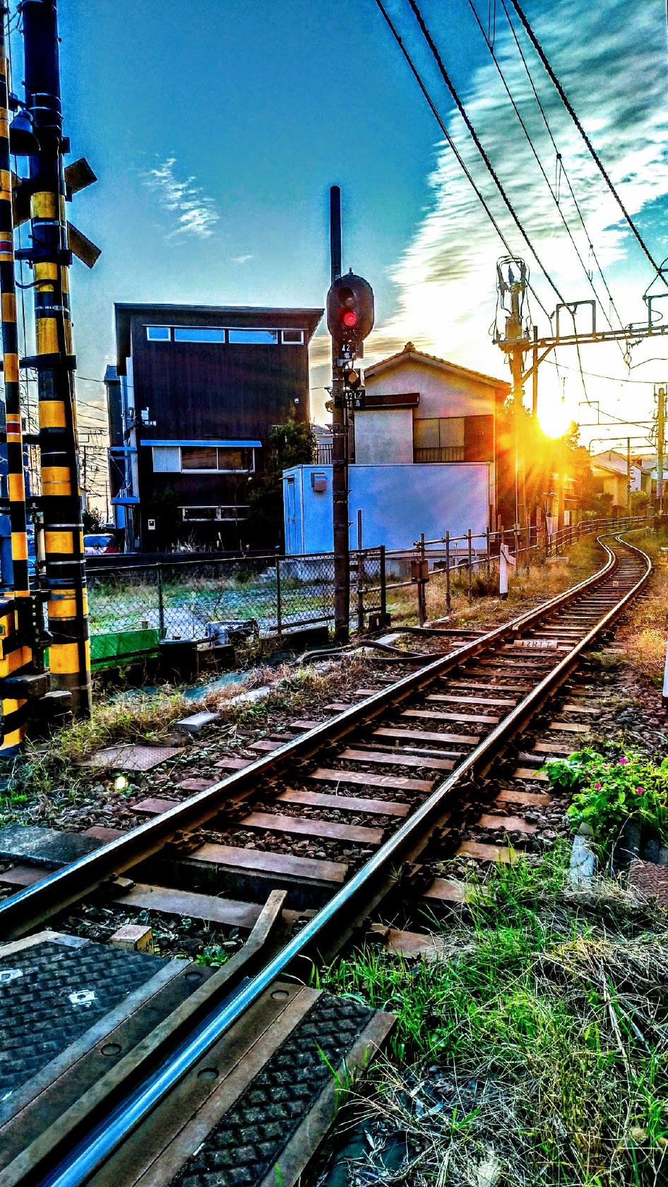 Google の写真
