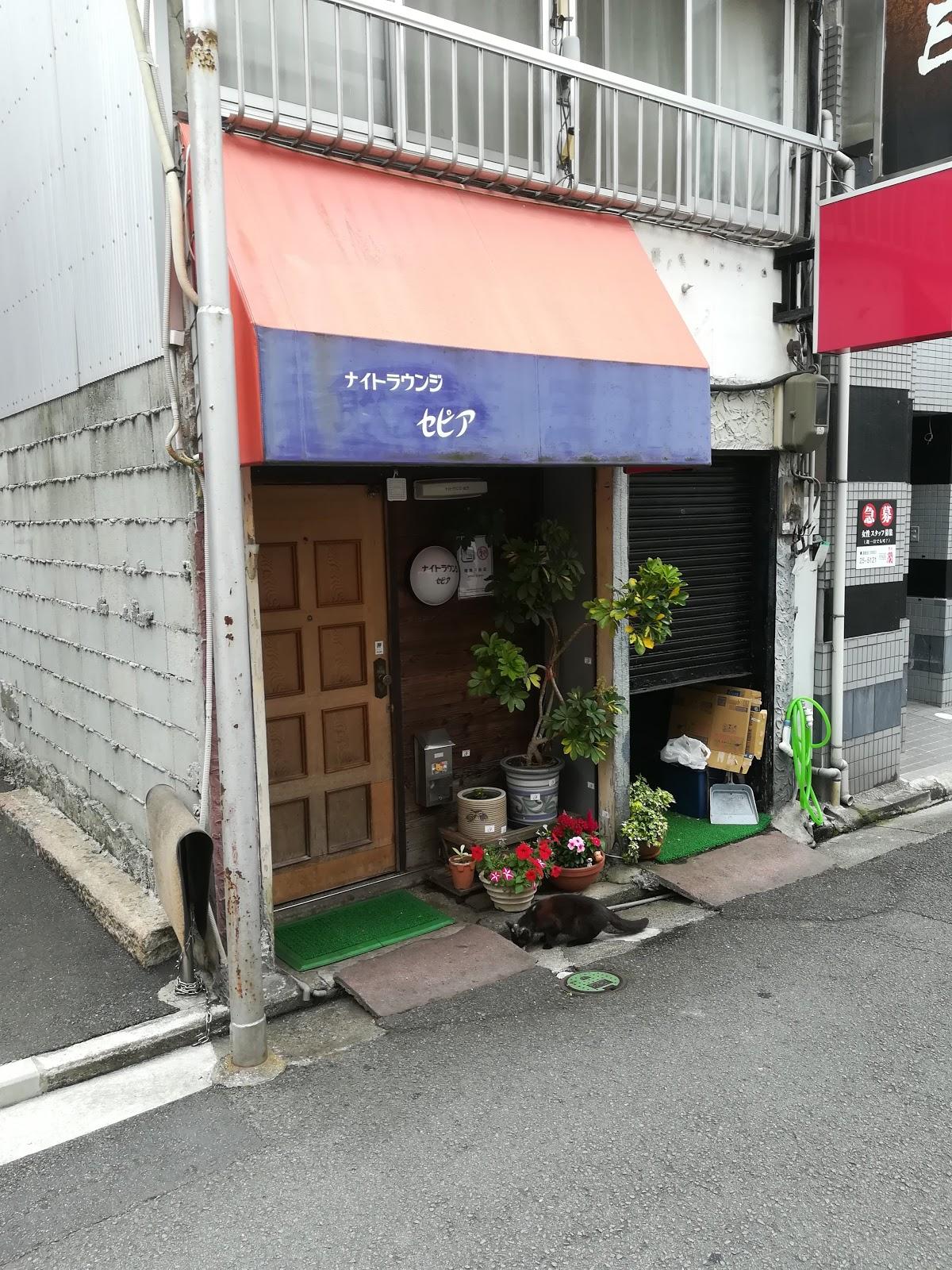 Google の写真