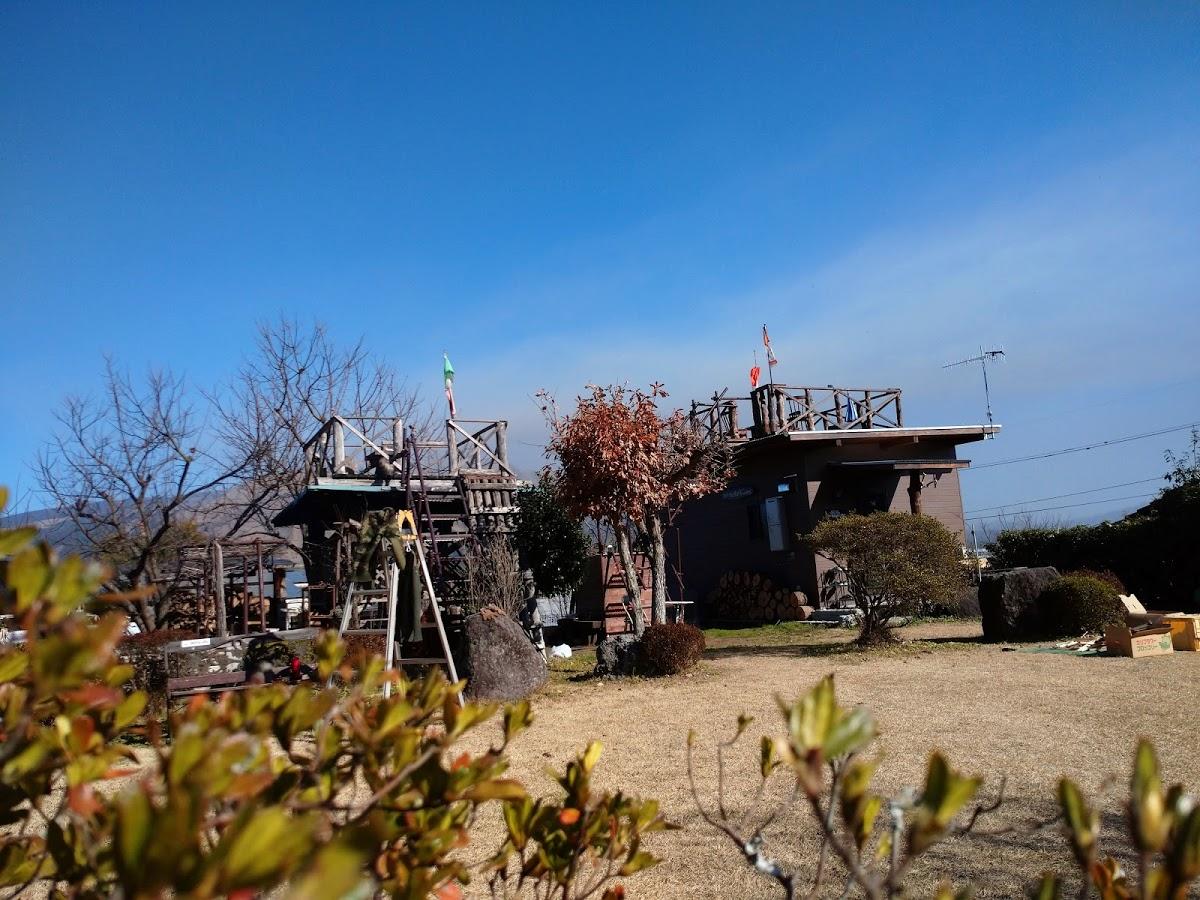 Google の写真