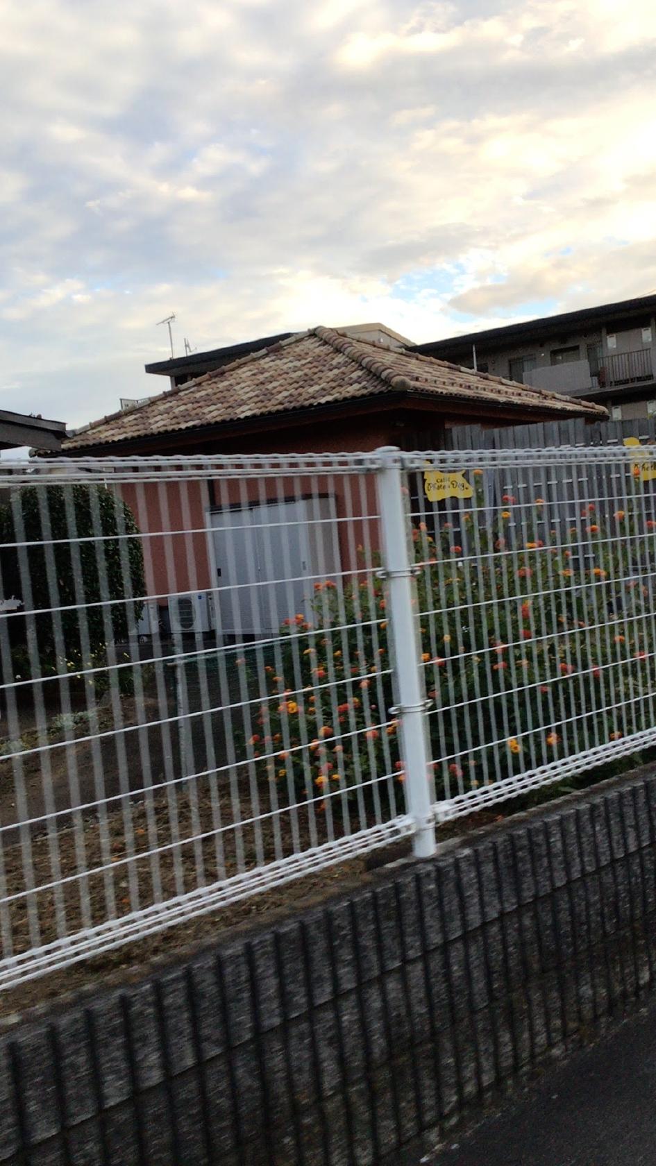 Google の写真
