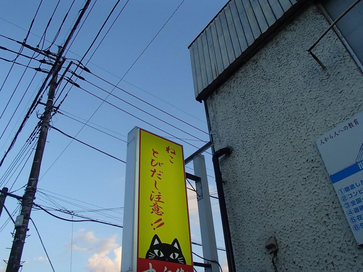 Google の写真