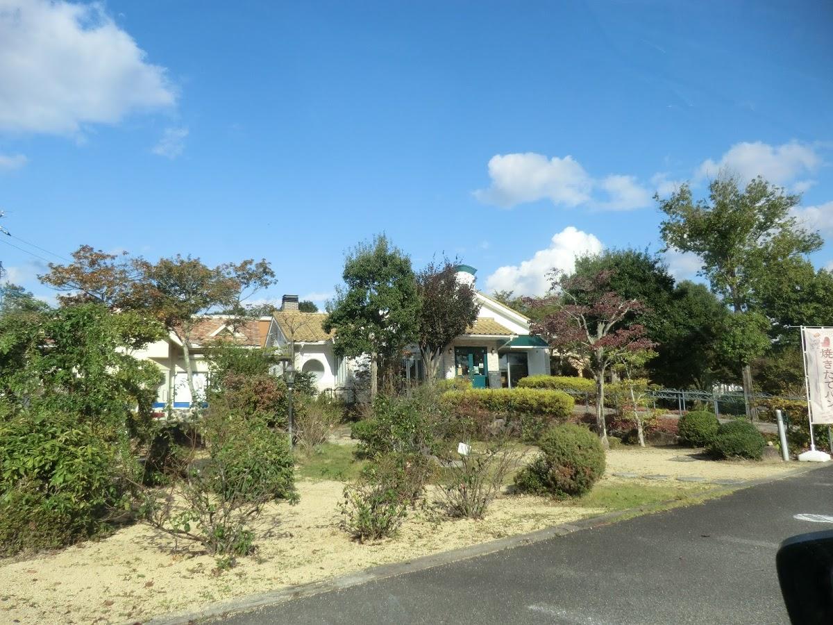 Google の写真