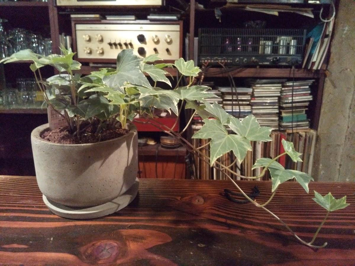 Google の写真