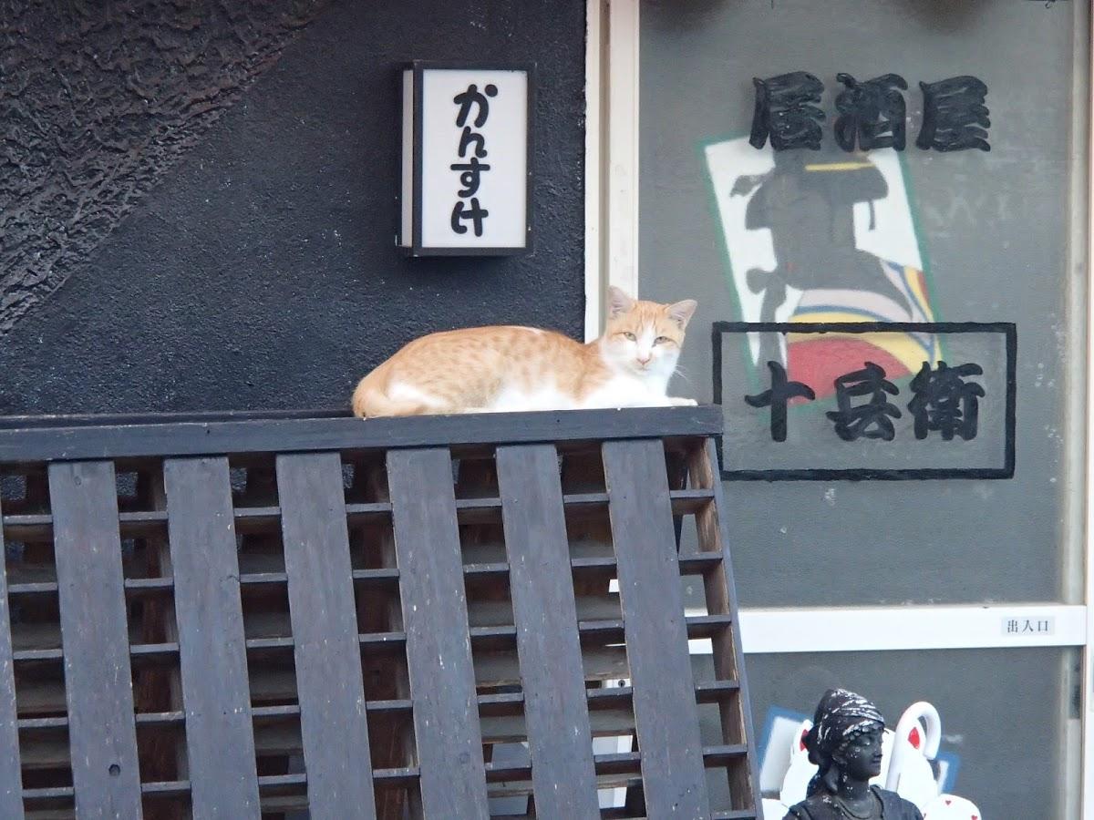 Google の写真
