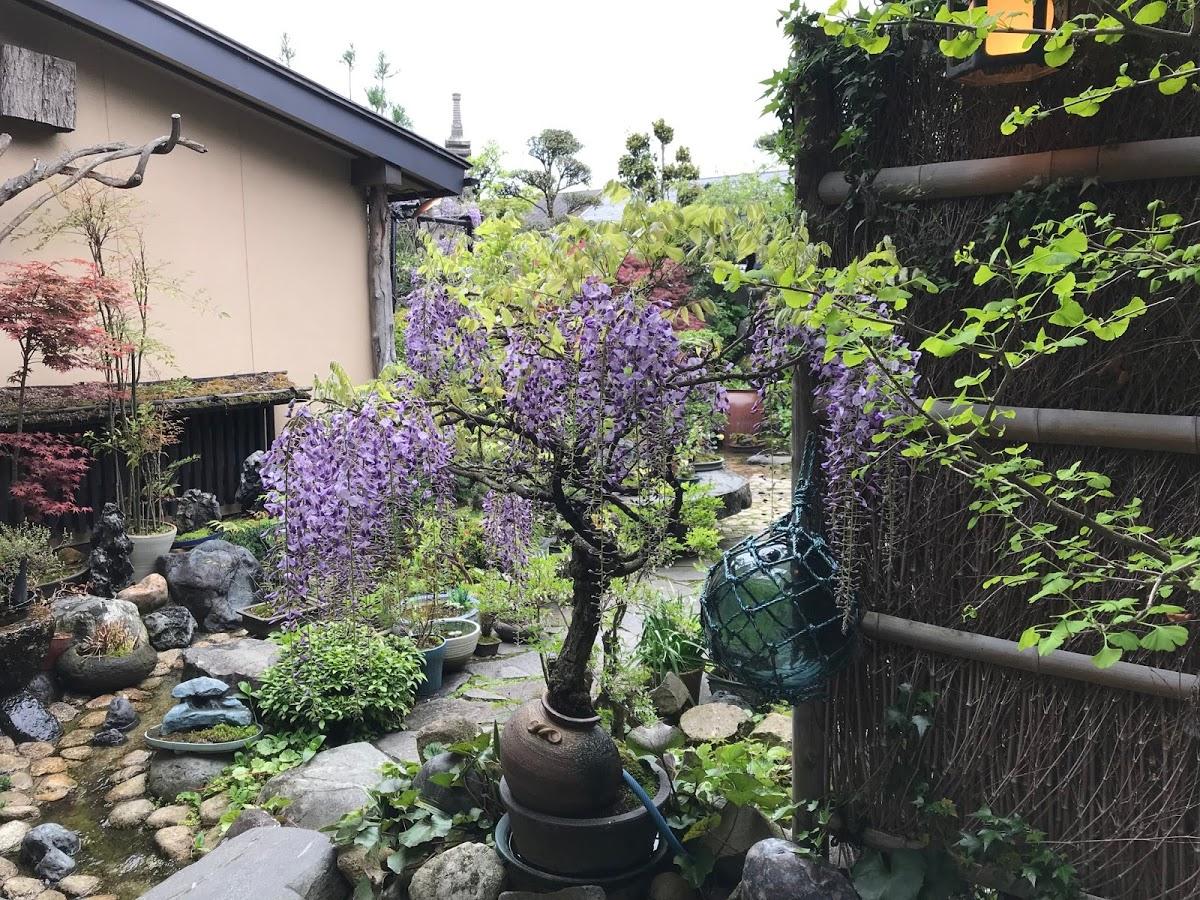 Google の写真