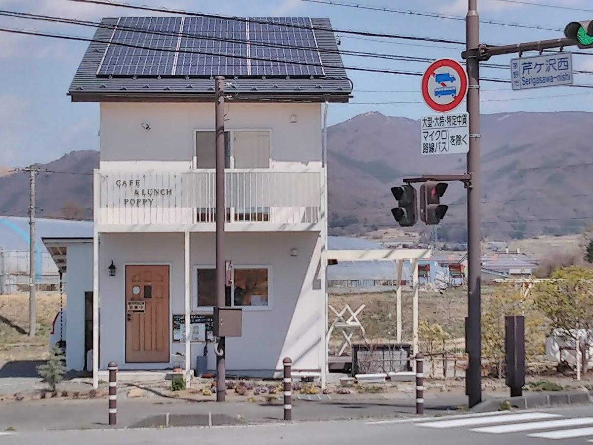 Google の写真