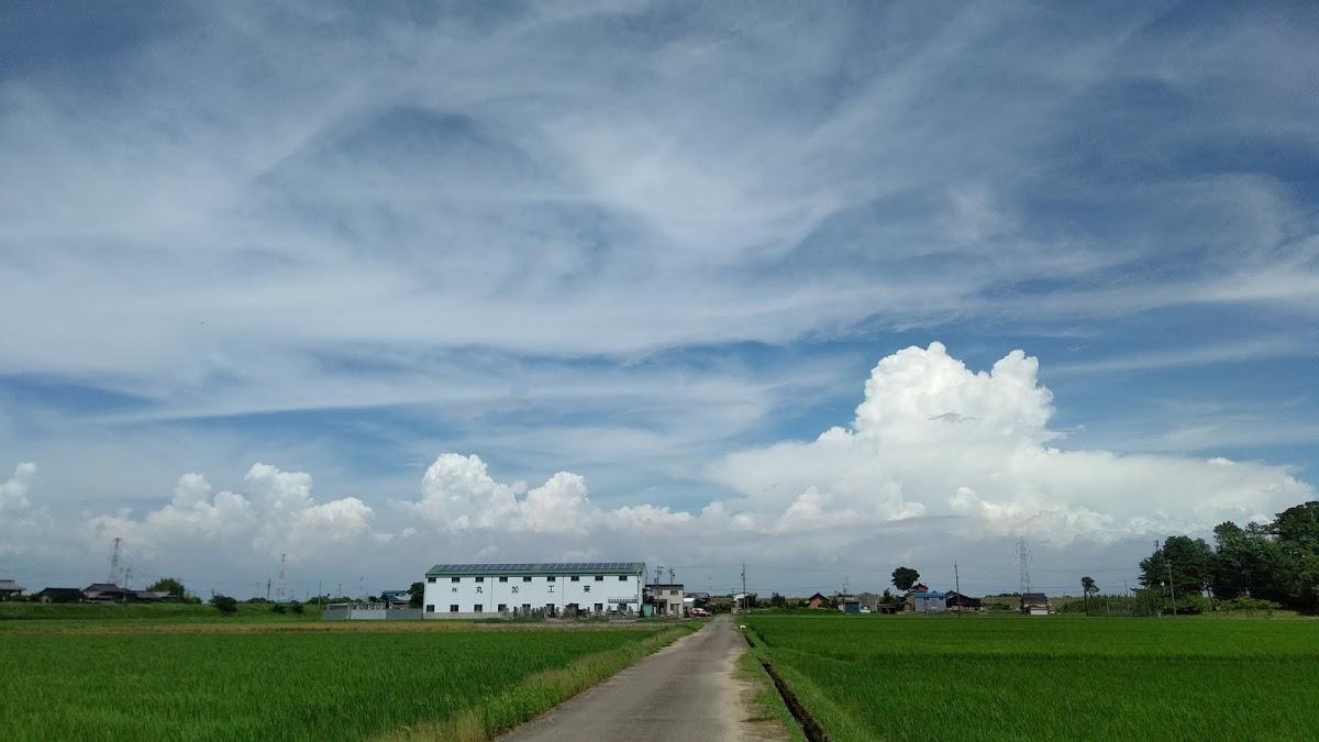 Google の写真