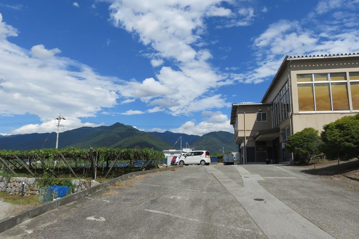 Google の写真