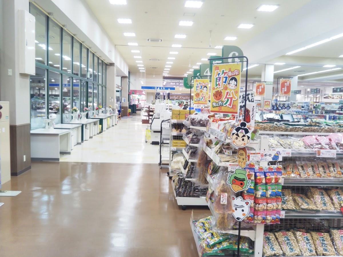Google の写真