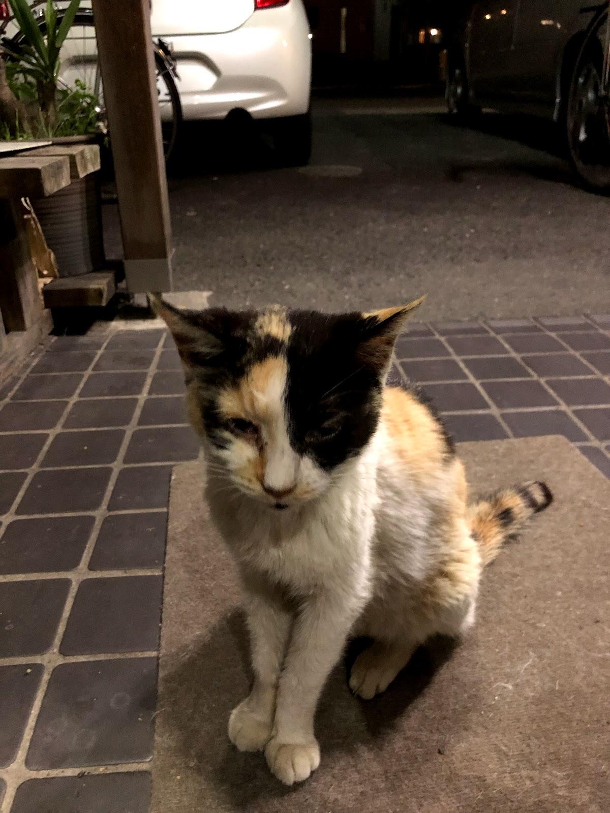 Google の写真
