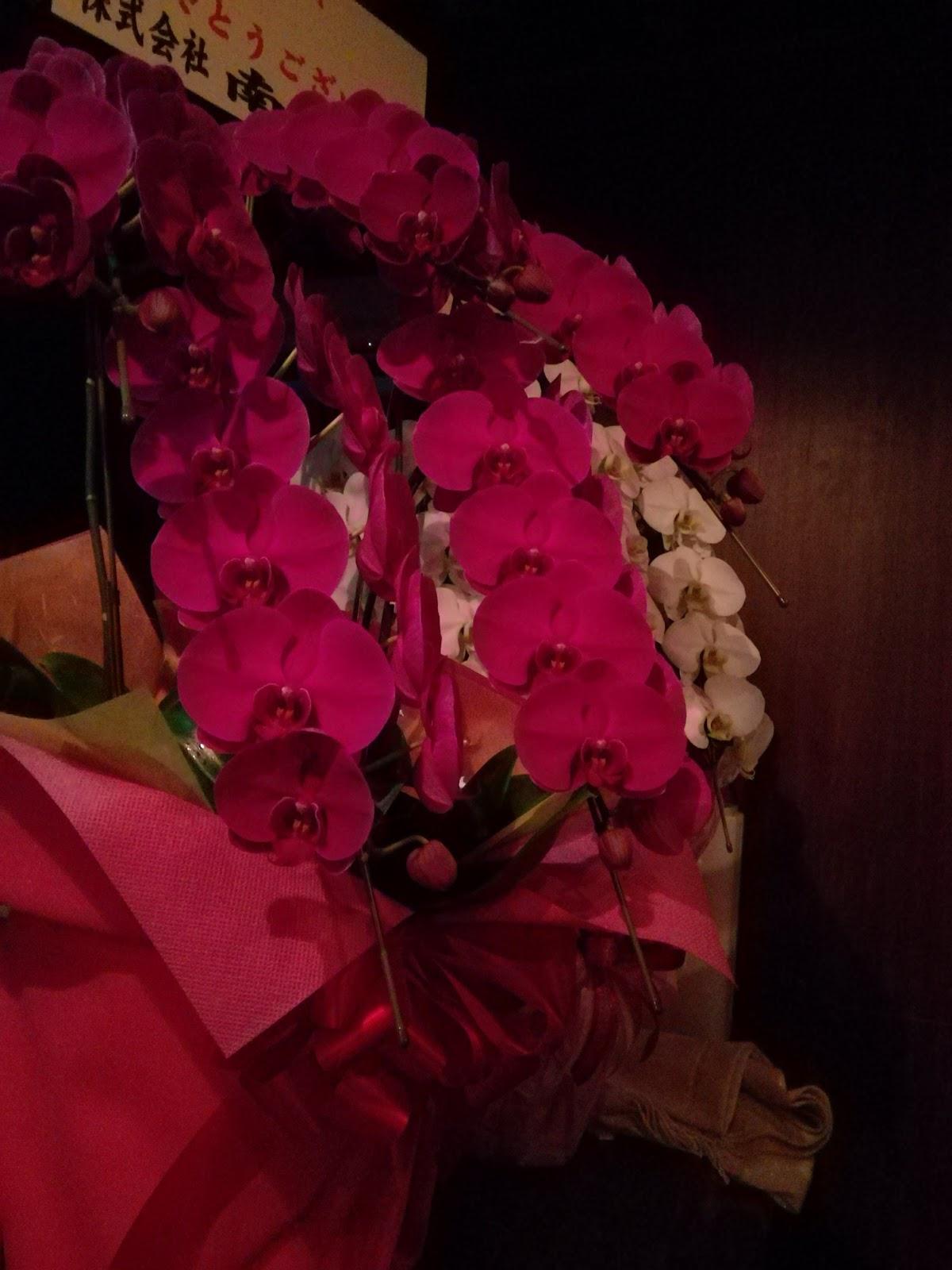 Google の写真