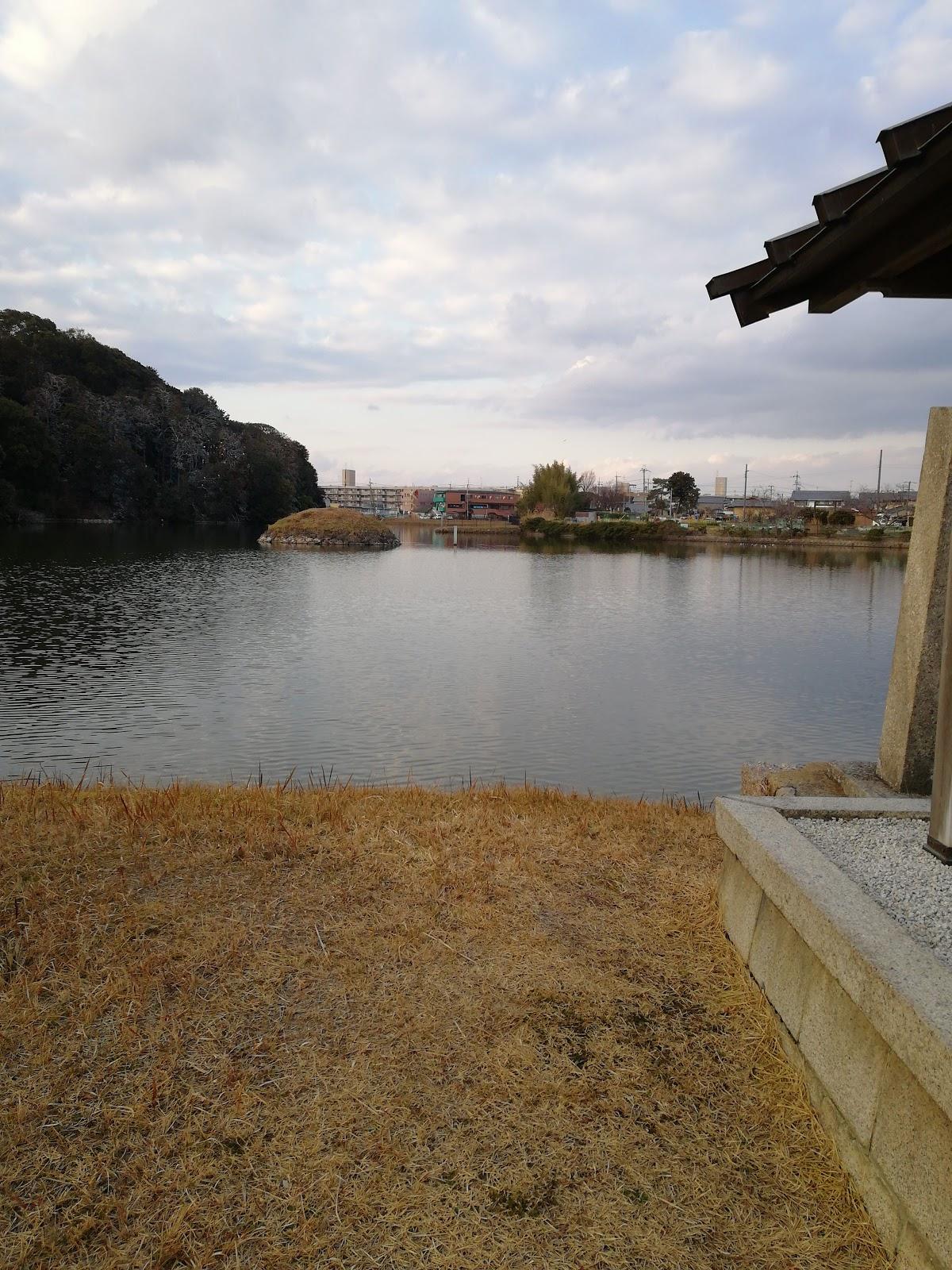 Google の写真