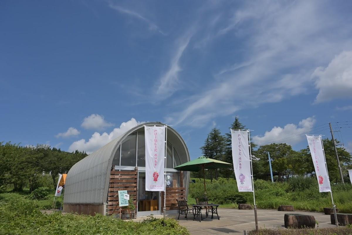 Google の写真