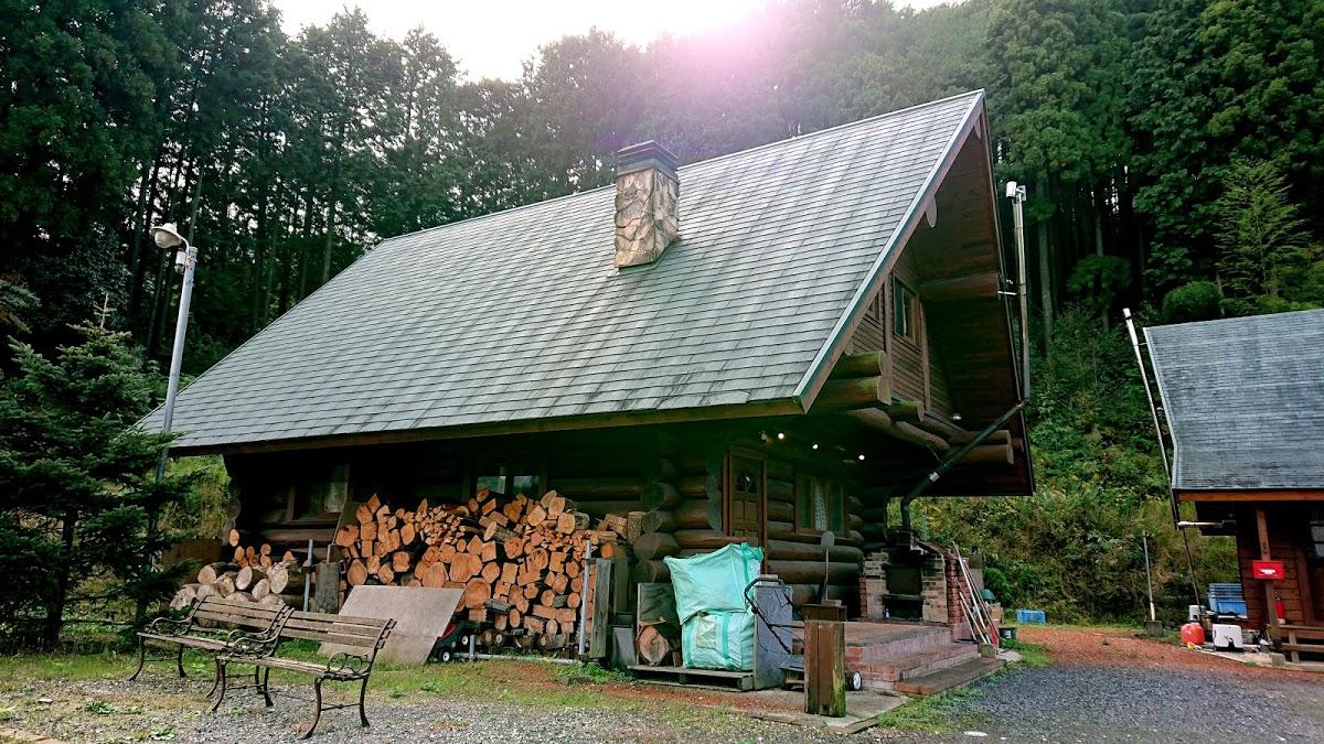 Google の写真