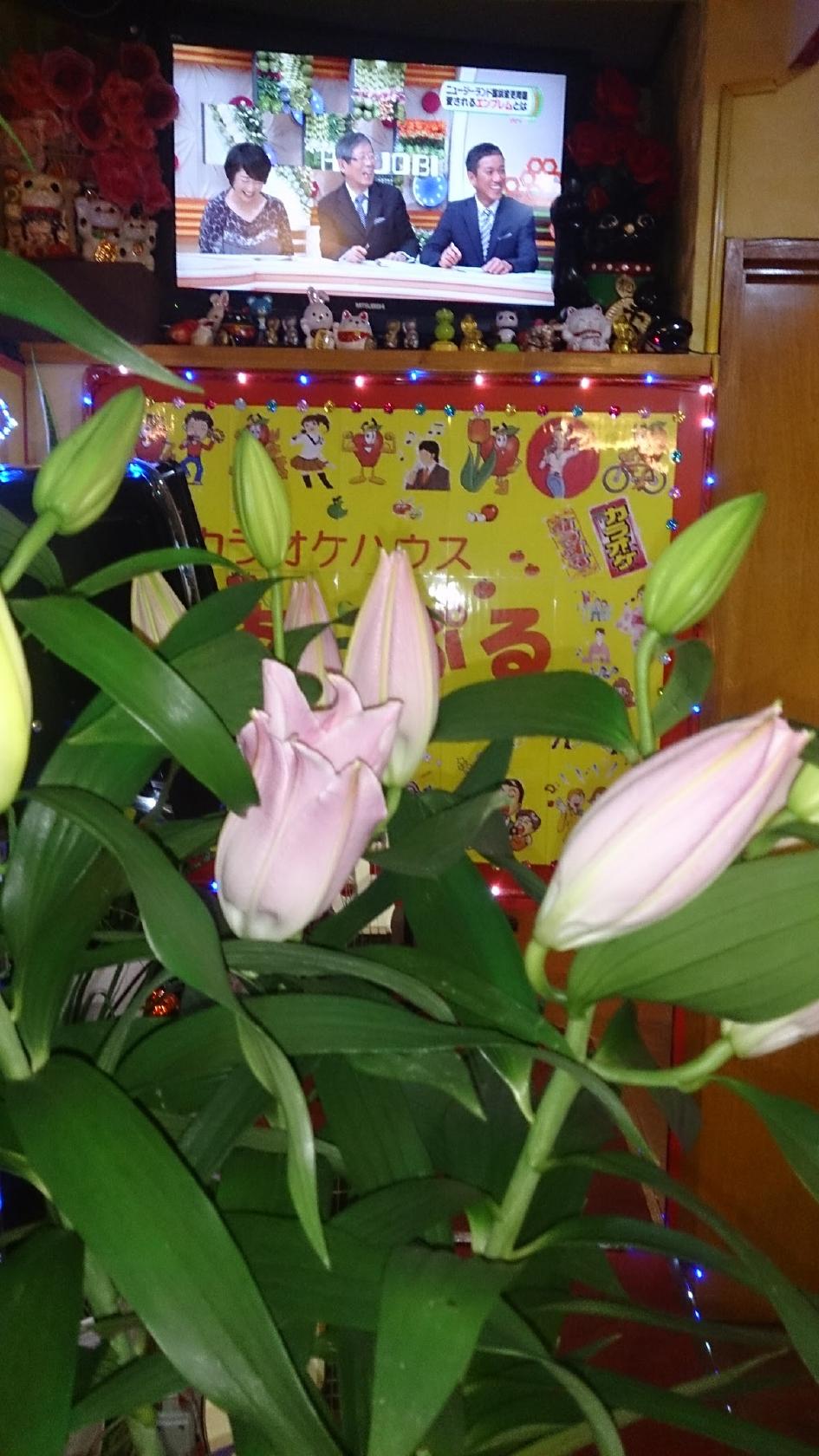 Google の写真