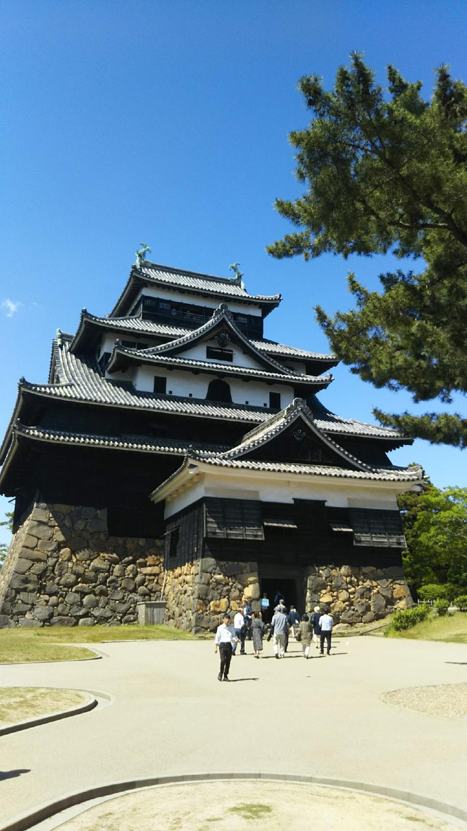 Google の写真